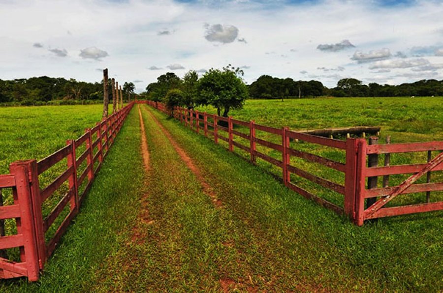 Governo de Rondônia reforça regularização fundiária do setor rural em todo o Estado