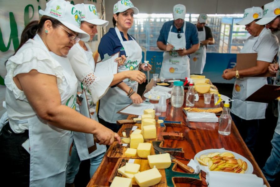 Região Madeira Mamoré se destaca no 2° Concurso ConQueijo e leva nove dos 15 prêmios