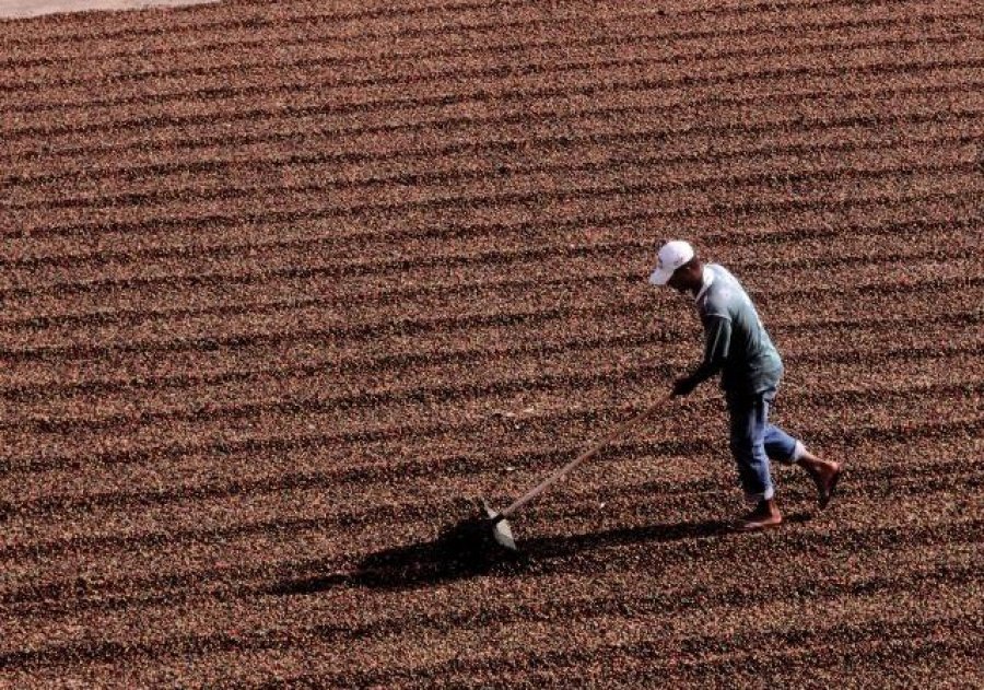 Segurado especial terá novas regras para comprovar atividade rural