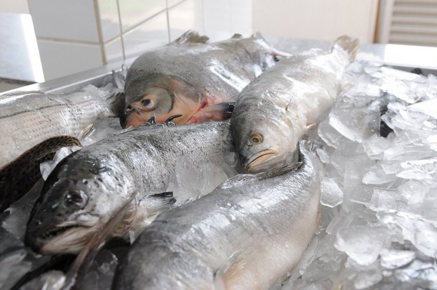 Peixe congelado só pode ter 12% de água adicionada