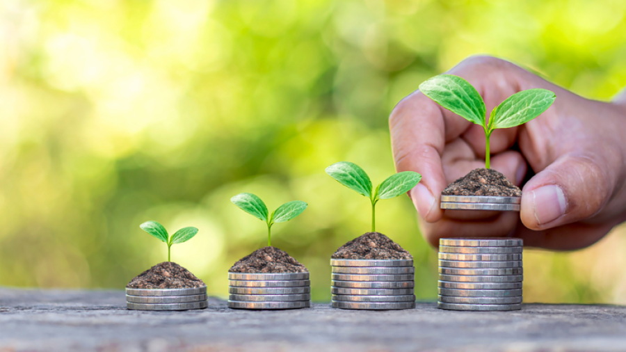 IPPA/CEPEA: Preço ao produtor agropecuário sobe mais de 20% no 1º trimestre