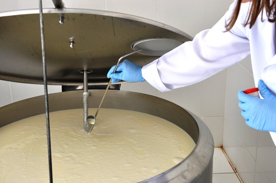 Resultados de pesquisa da Embrapa apontam desafios e soluções para a qualidade do leite de agroindústrias de Rondônia