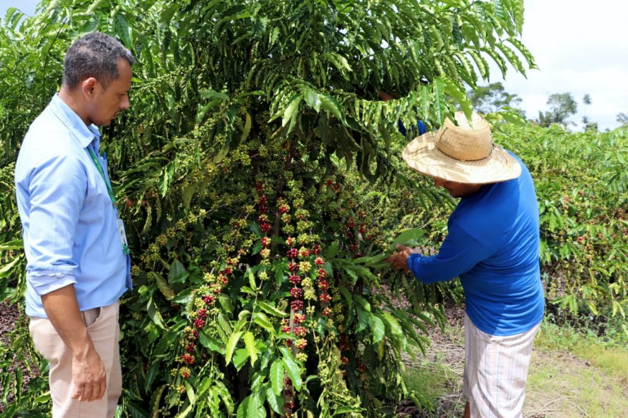 Cafeicultores de Rondônia serão beneficiados com construção de local para armazenagem de agroquímicos