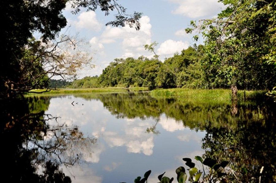 Ministério do Meio Ambiente sinaliza acordo de cooperação com o estado de Rondônia