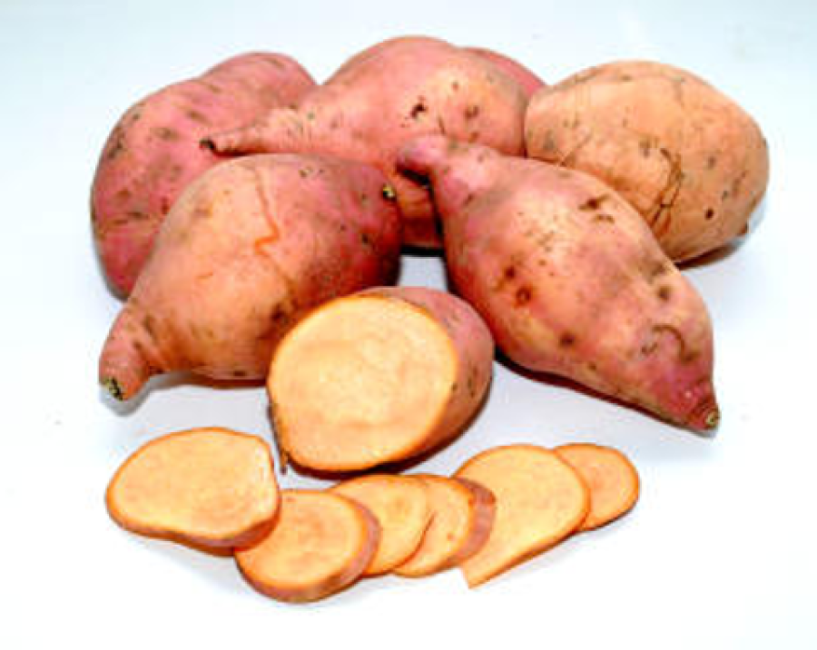 BATATA-DOCE DA CULTIVAR “BRS AMÉLIA” SE...