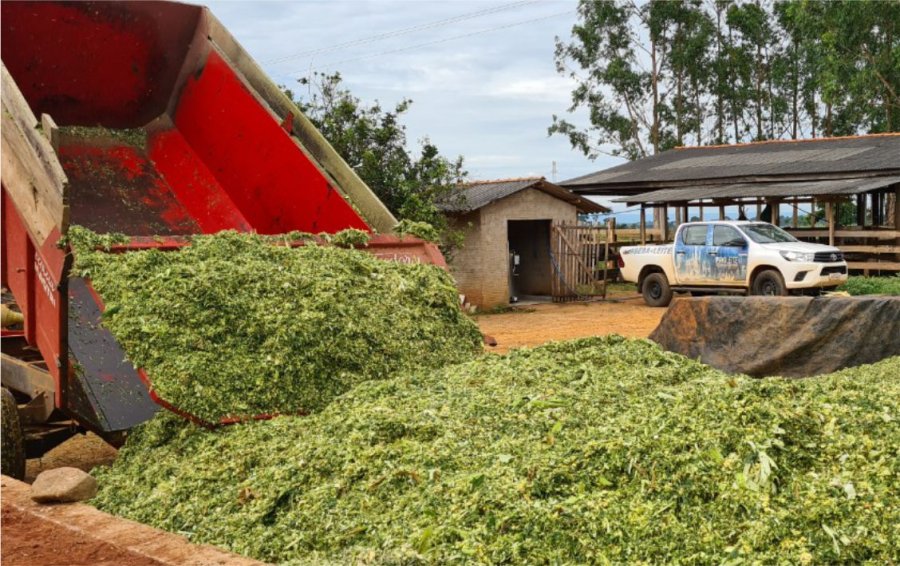 Produtores de leite de Cabixi são atendidos com projeto de Silagem da Emater Rondônia