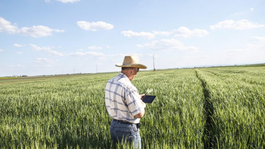 Tecnologia facilitará relação entre técnicos e produtores rurais