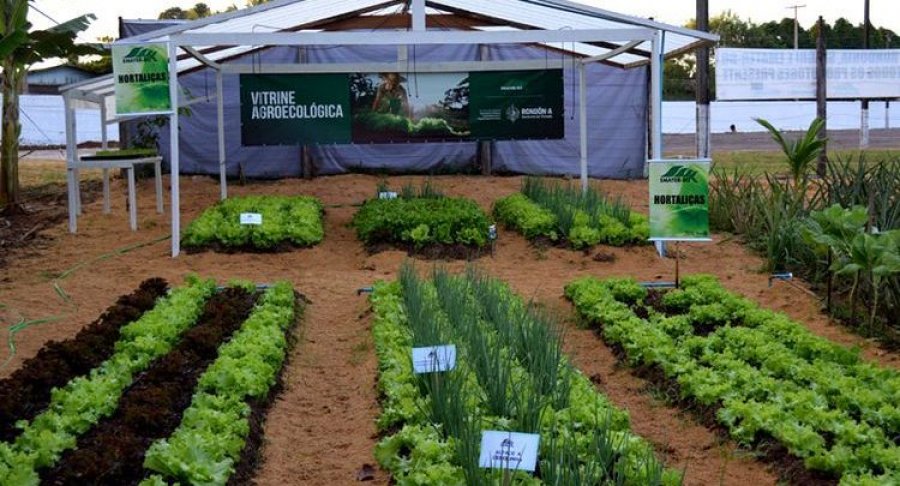 3ª Semana de Agroecologia vai debater a produção e comercialização de produtos em Rondônia