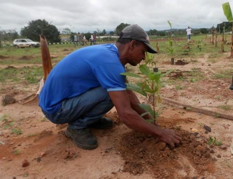 Com o melhor desempenho na execução do CAR no País, Rondônia conclui etapa do Projeto de Desenvolvimento Ambiental