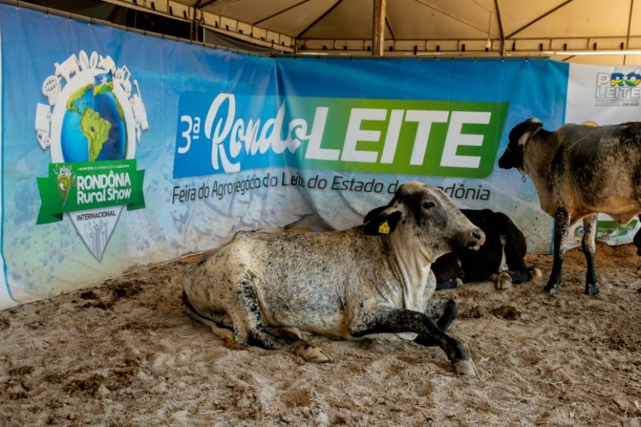 Tecnologias para gado de leite e melhoramento genético são apresentados aos produtores rurais na 3ª RondoLEITE