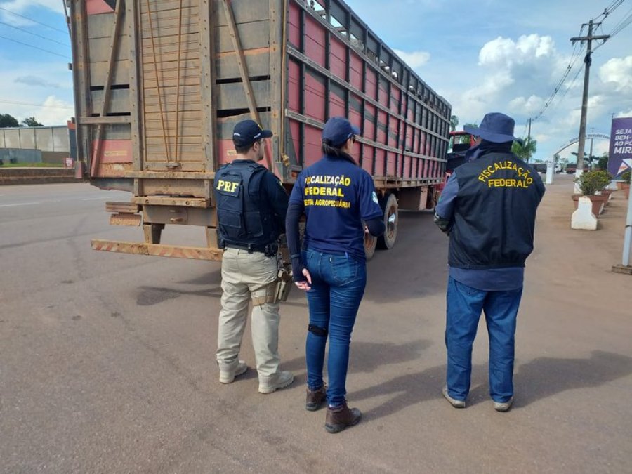 Operação conjunta apreende produtos agropecuários irregulares no Acre e em Rondônia