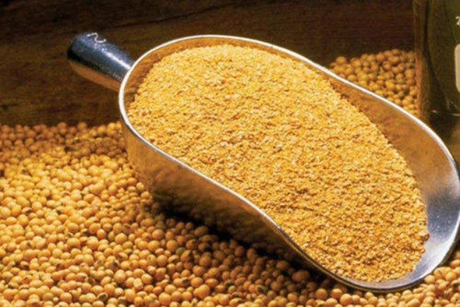 Brasil torna-se maior fornecedor mundial de farelo de soja