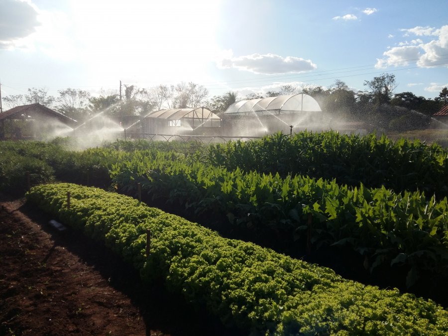 IFRO Campus Cacoal instala sistema de irrigação para UEPs