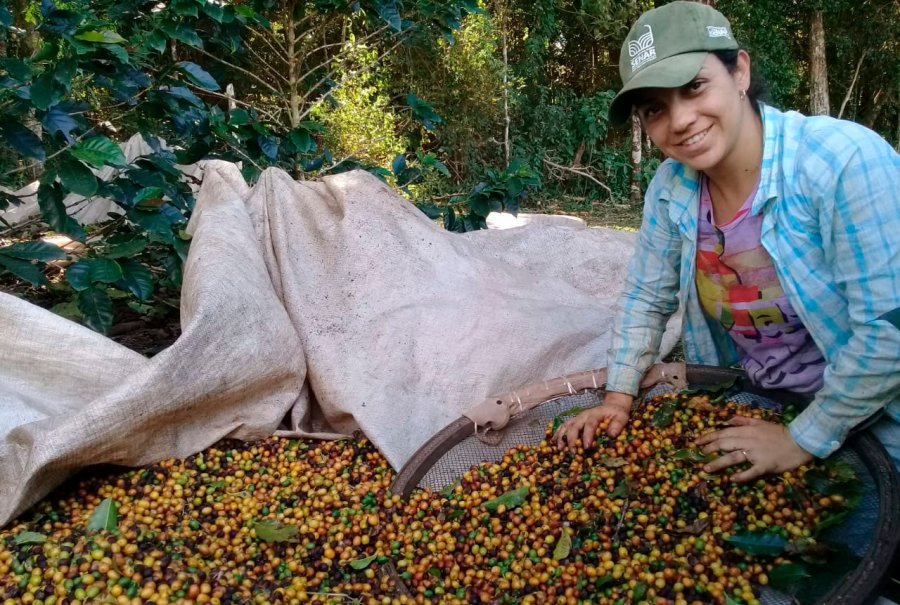 Mulheres ganham espaço na agropecuária, mas são apenas 19% dos produtores