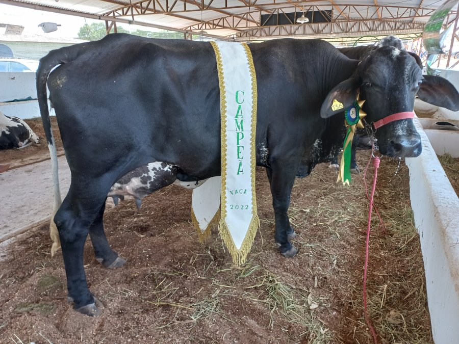 Concurso premia produtores de leite na 34ª Expocol em Colorado do Oeste