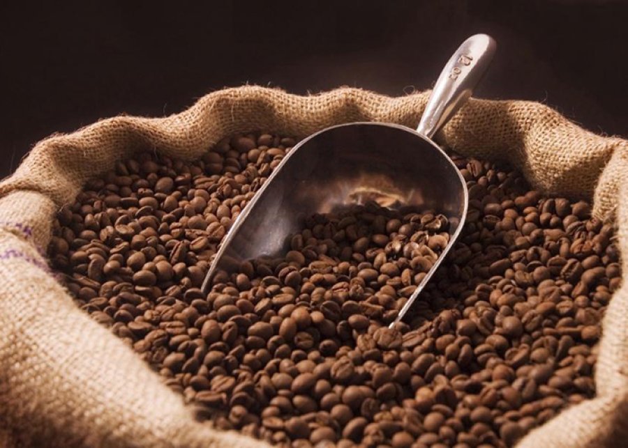 CAFÉ/CEPEA: Exportações avançam safra 24/25 recordes