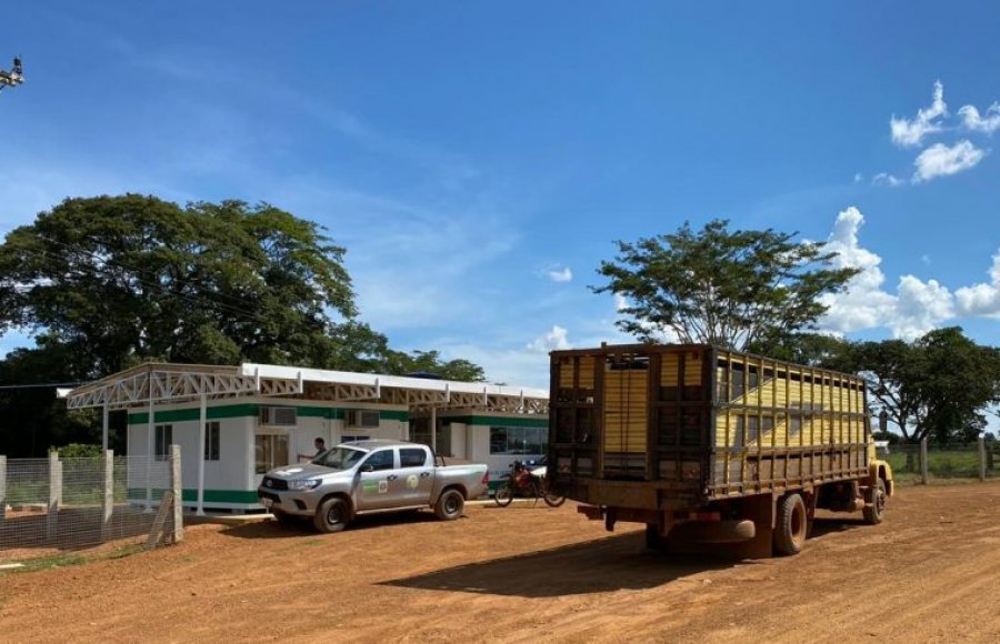 Dois novos postos reforçam a fiscalização agropecuária em Rondônia