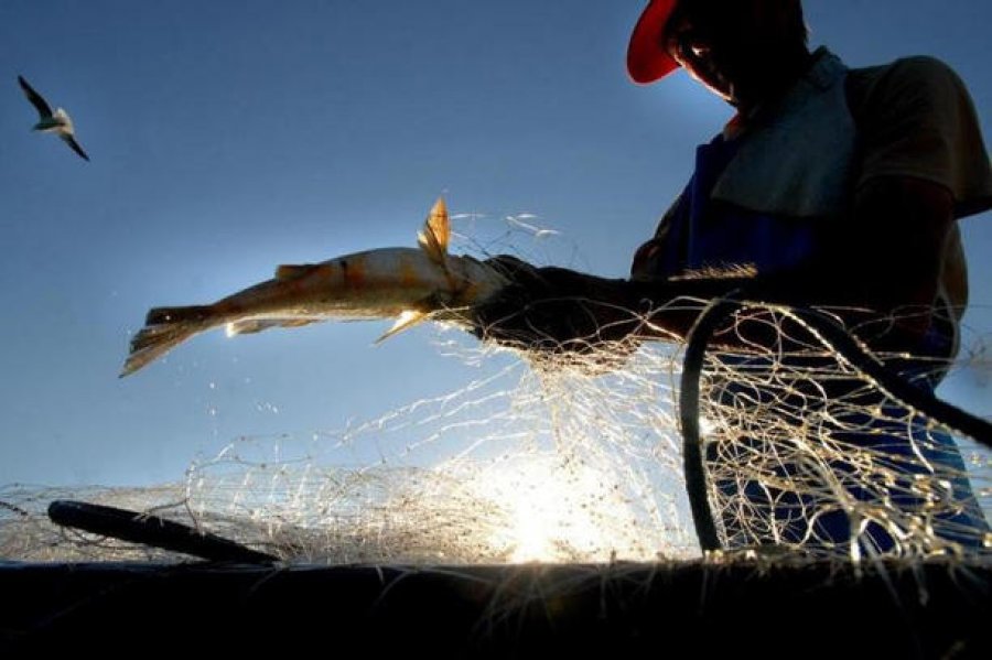 Novo sistema de registro de pescadores sairá até maio