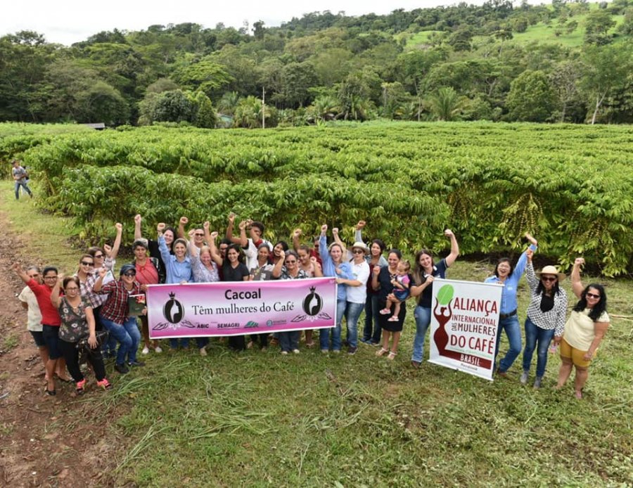Mulheres são protagonistas na produção de café de Rondônia