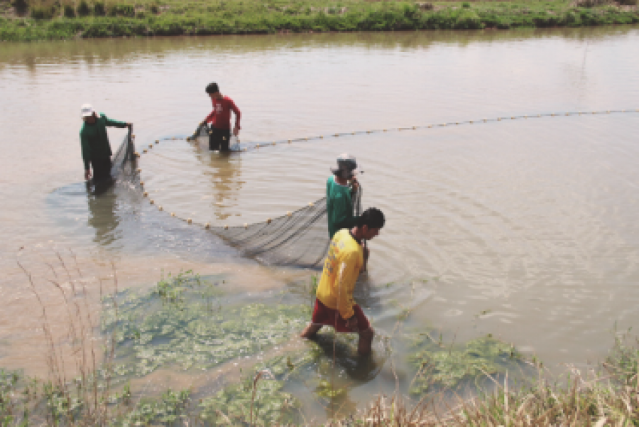 Pesca fica proibida até março de 2018 em Rondônia durante o período de defeso