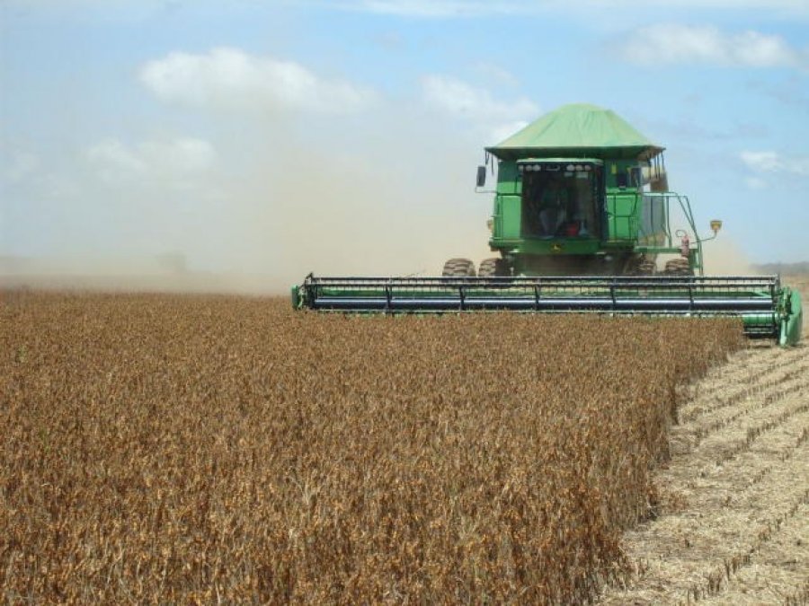 Safra de grãos deve atingir 226 milhões de toneladas