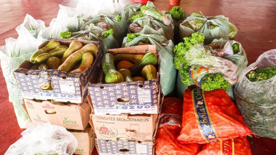 Programa da agricultura familiar contribui no combate à fome e pobreza em Rondônia