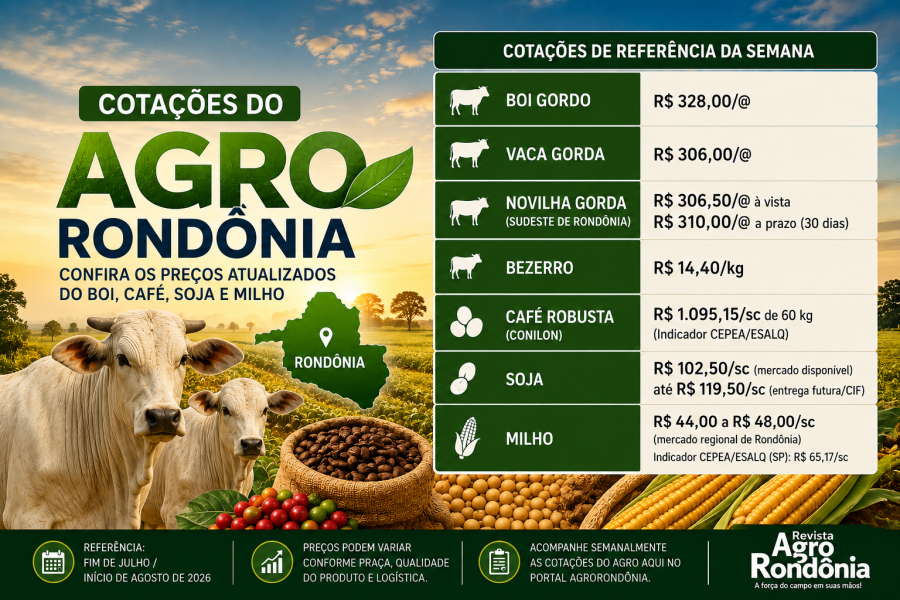 Cotações do Agro em Rondônia: confira os...