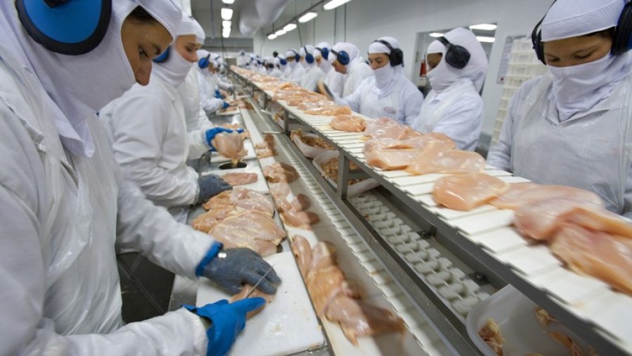 Carne de frango: Japão retira suspensão de exportação de Santa Catarina