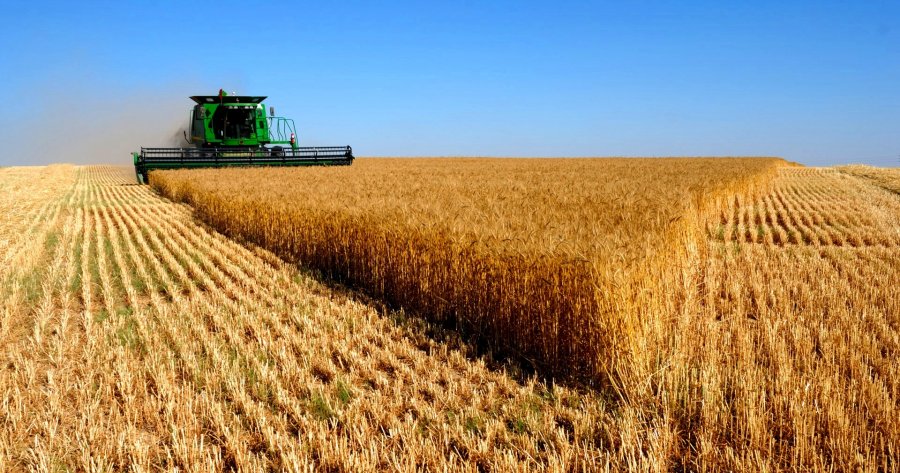 Brasil poderá colher até 238 milhões de toneladas de grãos na safra 2018/19