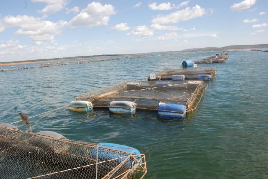 Solicitação para uso de águas da União para aquicultura já pode ser feita online