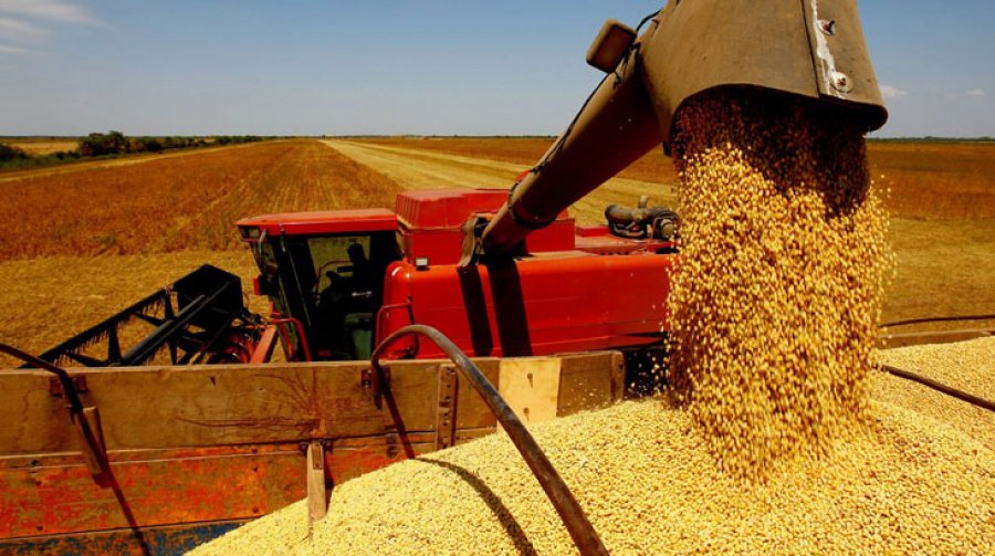 Com boa produtividade, safra de grãos 2022/23 é estimada em 313,9 milhões de toneladas