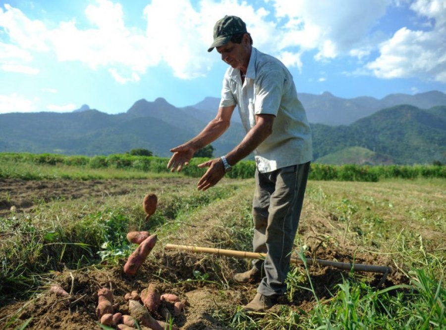 Governo do Estado cria Lei da Regularização Fundiária para benefício de produtores rurais em Rondônia