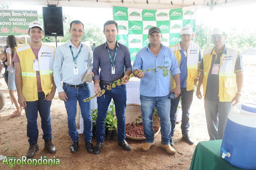 Dia de Campo sobre Cafeicultura Clonal